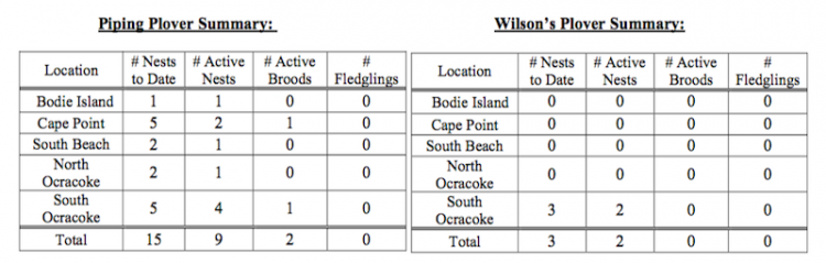 Weekly Seashore Reports 6/10/15